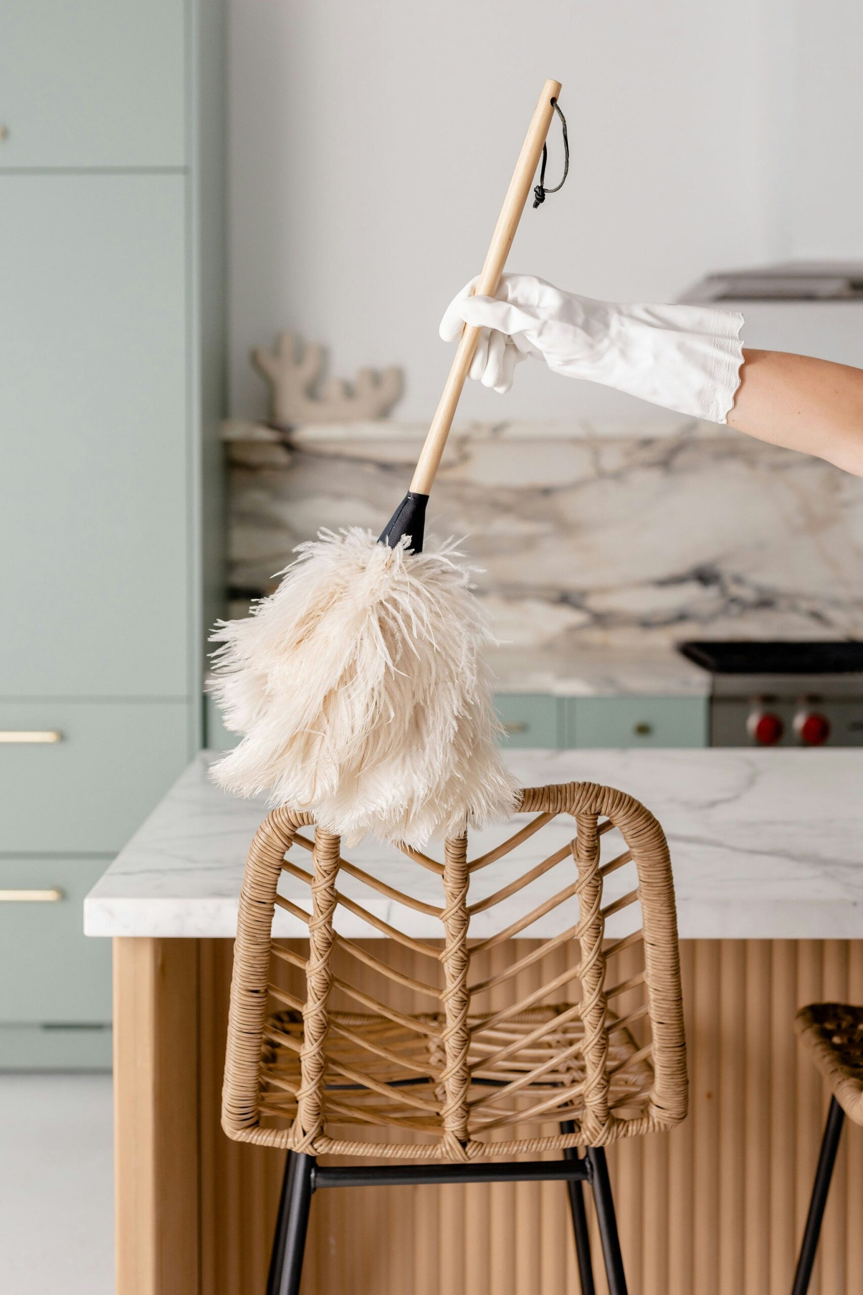 Professional property cleaning